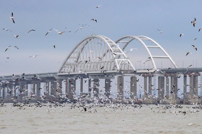 Рядом с Крымским мостом установлены кормушки для птиц