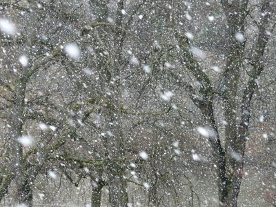 Для движения транспорта закрыт зимник Уренгой - Красноселькуп на Ямале