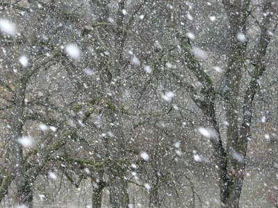 Из-за непогоды закрыта трасса Заполярный - Сальмиярви в Мурманской области