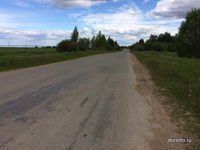 Соглашения по обслуживанию дорог для вывоза древесины заключат арендаторы участков и муниципалитеты Ленобласти