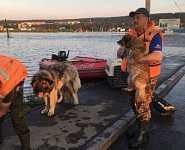 Наводнение в Иркутской области: Перекрыт участок трассы Р-255, режим ЧС, визит Президента