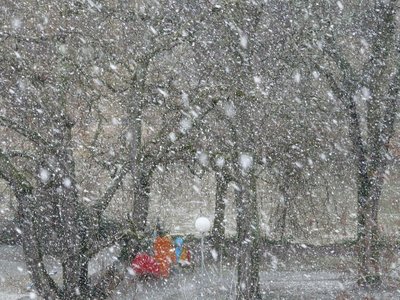 Из-за непогоды закрыто движение по зимнику Надым - Салехард в ЯНАО