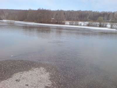 Два низководных моста через реку Пара в Рязанской области подтоплены